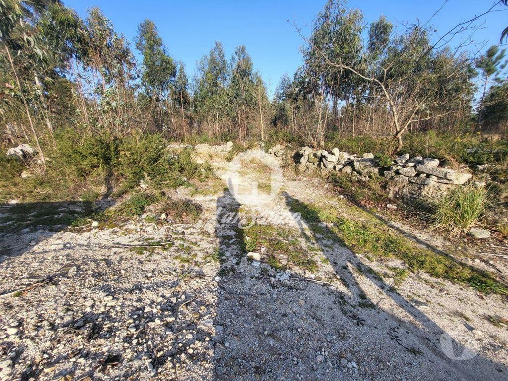 Terrenos Póvoa de Varzim - Fotos para Terreno rústico c 7.000 m2 em Argivai, Póvoa de Varzim