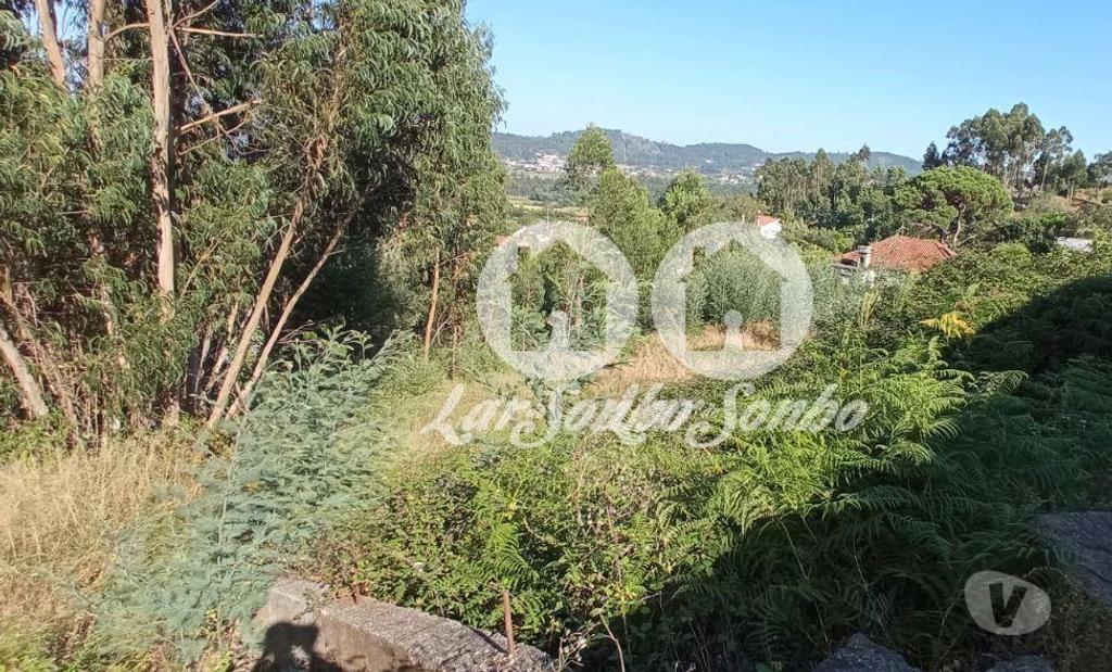Terrenos Barcelos - Fotos para Terreno para construção de moradia em Barcelos (265-T-01336)