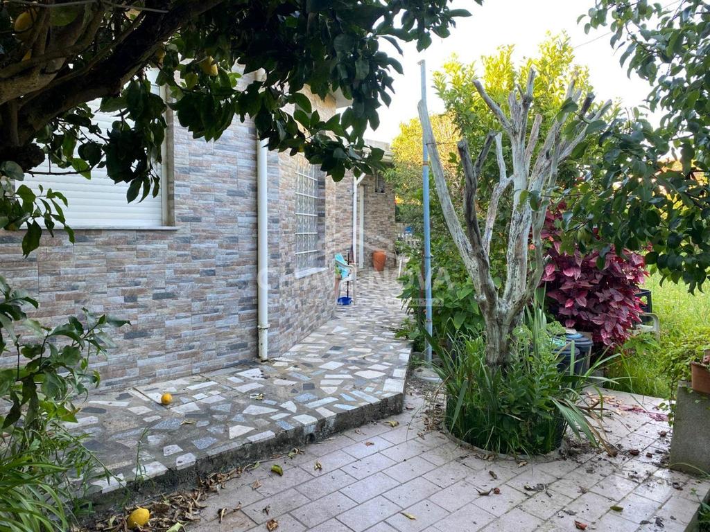 Terrenos Vila Nova de Gaia - Fotos para Terreno na Madalena com 1000m² murado (MAD 01888)