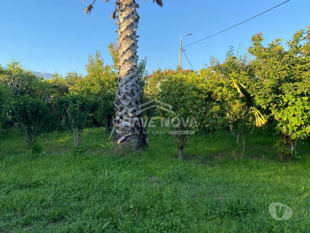 Terrenos Vila Nova de Gaia - Fotos para Terreno na Madalena com 1000m² murado (MAD 01888)