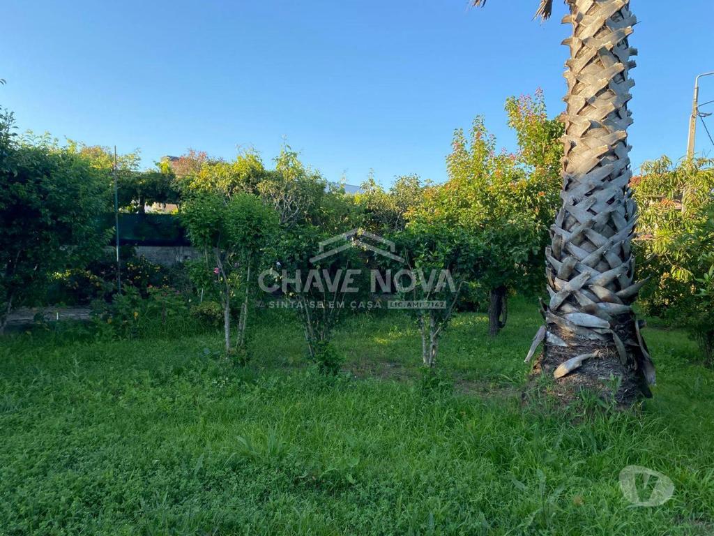Terrenos Vila Nova de Gaia - Fotos para Terreno na Madalena com 1000m² murado (MAD 01888)