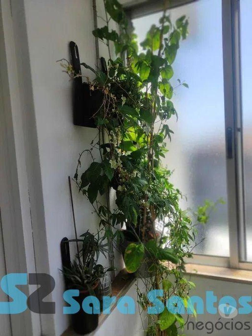 Apartamentos a venda Porto - Fotos para Porto-T1 Renovado C Cozinha Equipa ás Antas-Porto (SS0950)