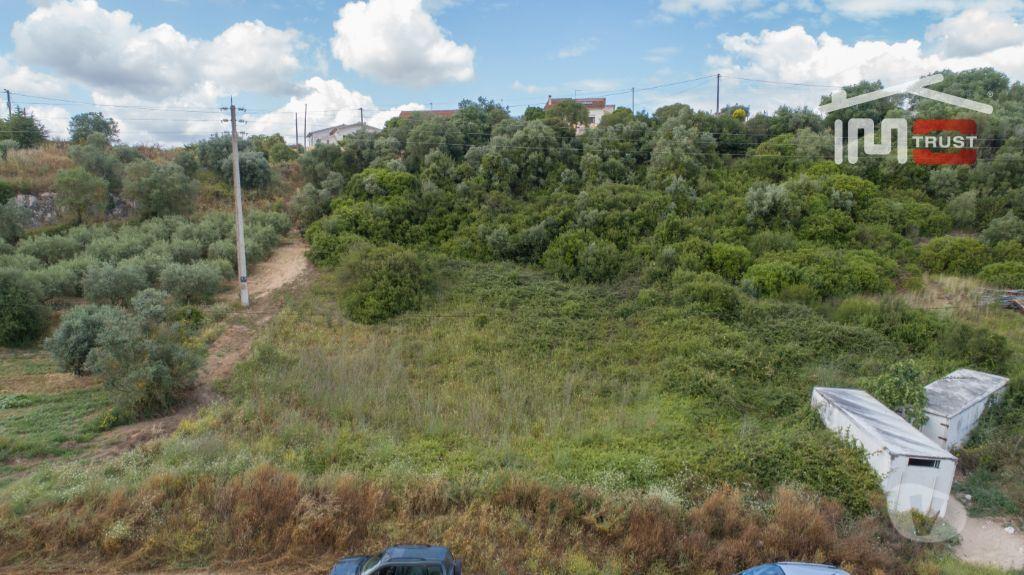 Terrenos Santarém - Fotos para Santarem-Terreno Rústico - Almoster (5-T-000016)