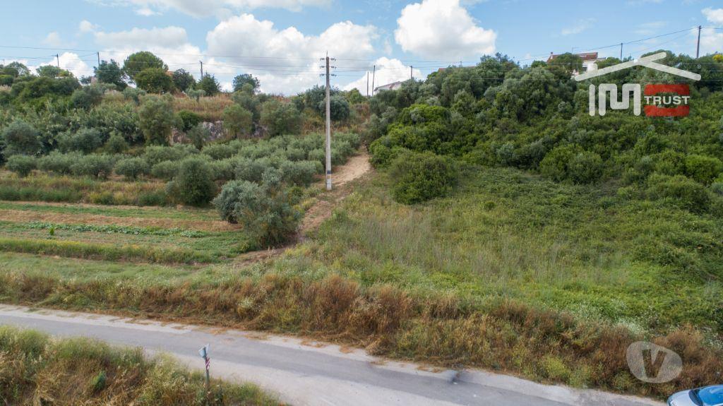 Terrenos Santarém - Fotos para Santarem-Terreno Rústico - Almoster (5-T-000016)