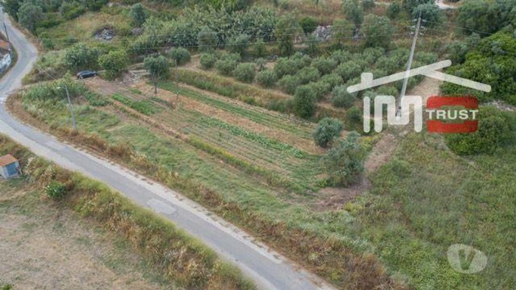 Terrenos Santarém - Fotos para Santarem-Terreno Rústico - Almoster (5-T-000016)