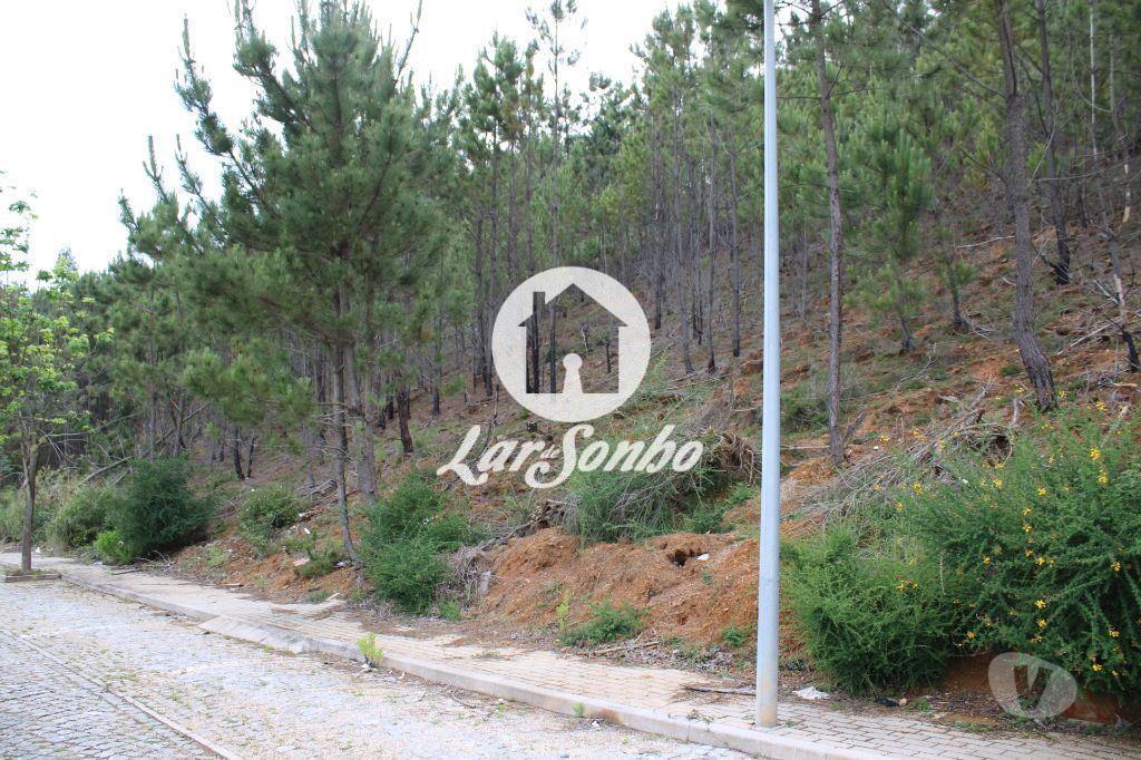 Terrenos Barcelos - Fotos para Barcelos-Lote para Moradia em Tamel (265-T-01610)