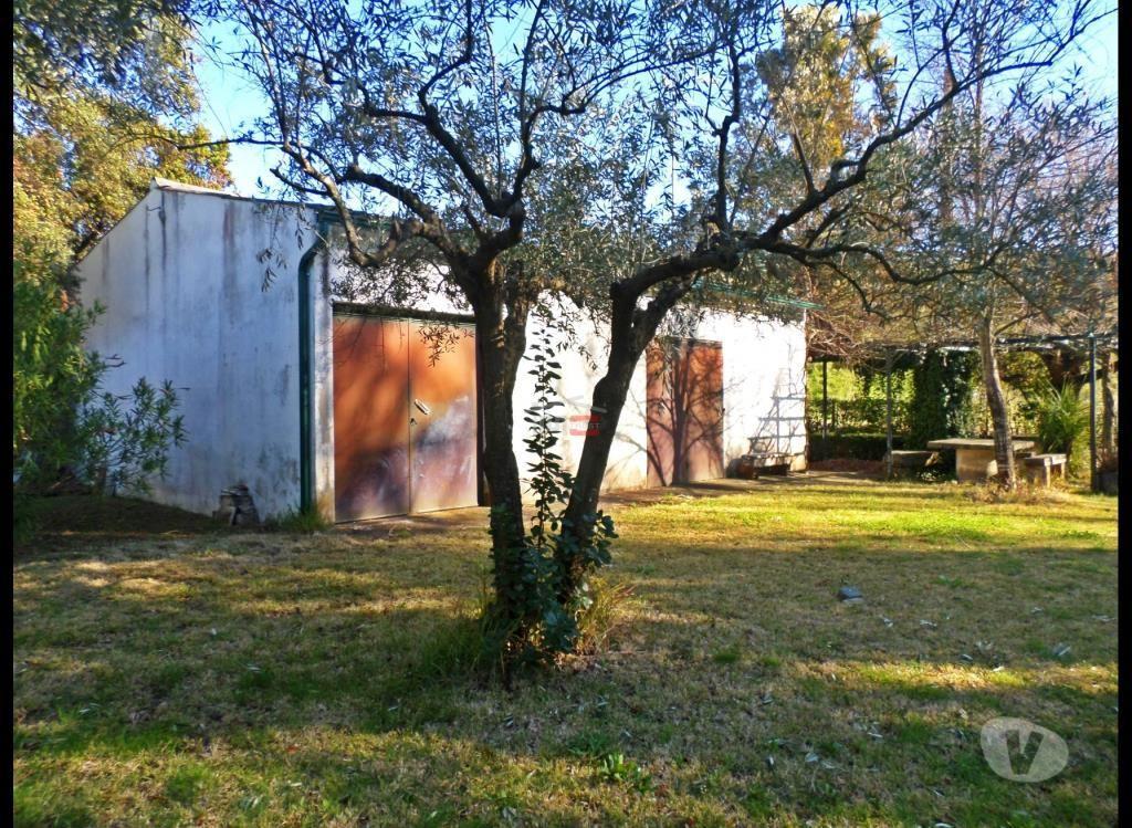 Terrenos Tomar - Fotos para Tomar-Terreno com casa agrícola e tanque (3-T-310619006)