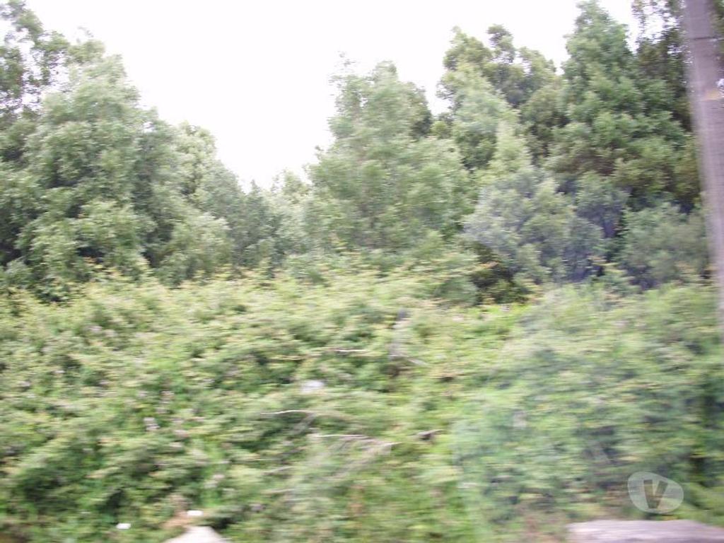 Terrenos Vila do Conde - Fotos para Terreno na Zona Industrial de Vilar do Pinheiro, com área total
