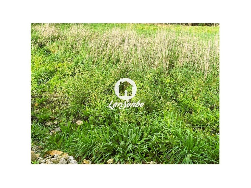 Terrenos Barcelos - Fotos para Barcelos-Excelente Lote para Moradia (265-T-01609)