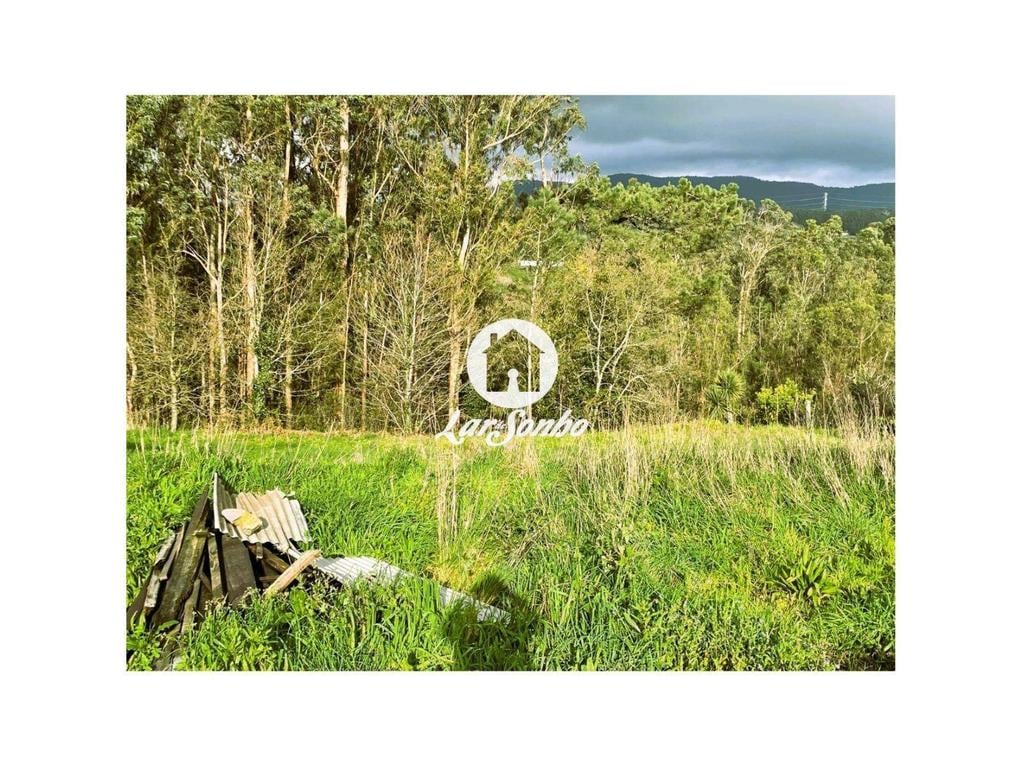 Terrenos Barcelos - Fotos para Barcelos-Excelente Lote para Moradia (265-T-01609)