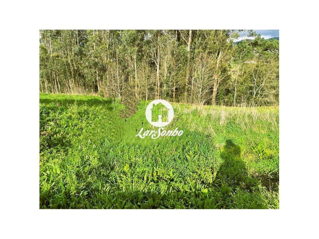 Terrenos Barcelos - Fotos para Barcelos-Excelente Lote para Moradia (265-T-01609)