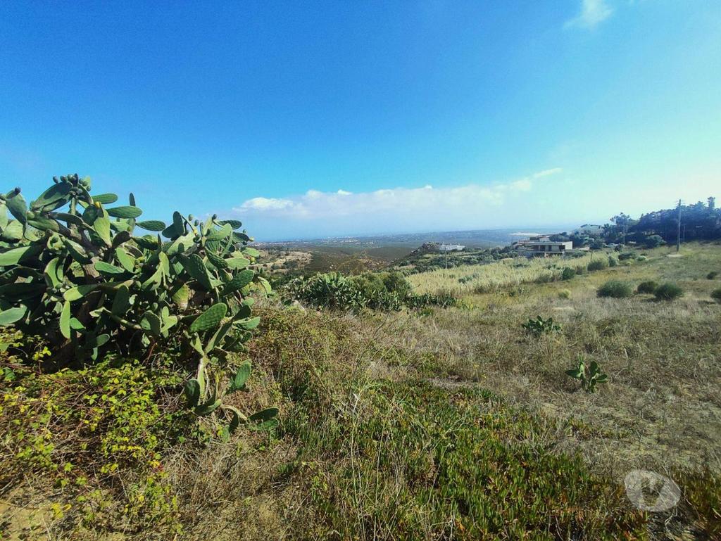 Terrenos Cascais - Fotos para Terreno rústico com 4800 m2 para venda na Figueira do Guincho