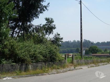 Terrenos e Quintas - Fotos para Terreno na Maia com área total aprox. 9000m2, com capacidade