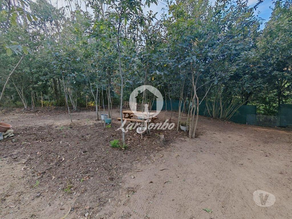 Terrenos Vila do Conde - Fotos para Terreno florestal vedado com 1.445m2 a 50m do metro de Mindelo,