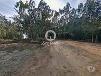 Terreno florestal vedado com 1.445m2 a 50m do metro de Mindelo,