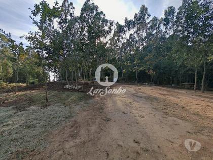 Terrenos a venda - Fotos para Terreno florestal vedado com 1.445m2 a 50m do metro de Mindelo,