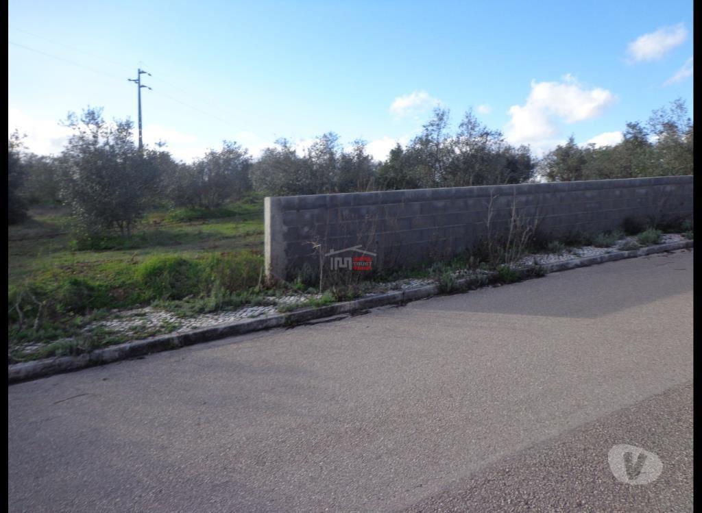 Terrenos Vila Nova da Barquinha - Fotos para Vila-nova-da-barquinha-Terreno para construção (1-T-15718016)