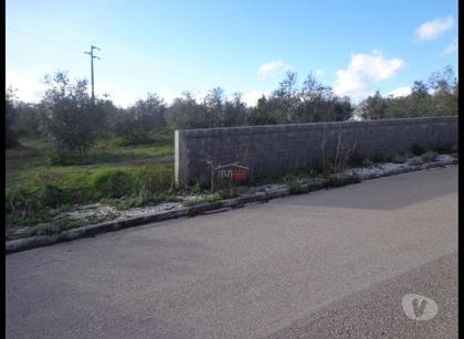 Terrenos a venda - Fotos para Vila-nova-da-barquinha-Terreno para construção (1-T-15718016)