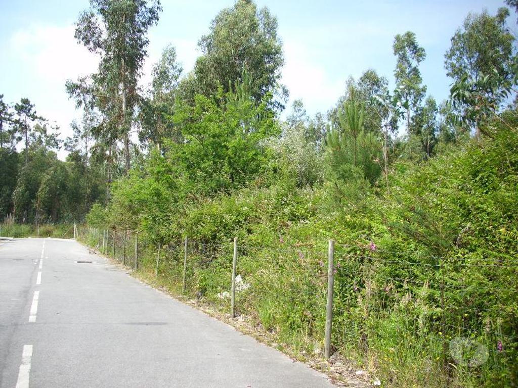 Terrenos Maia - Fotos para Terreno na Maia, com area total aproximada de 132.000m2,