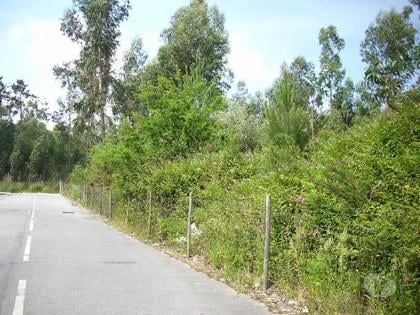 Terrenos e Quintas - Fotos para Terreno na Maia, com area total aproximada de 132.000m2,