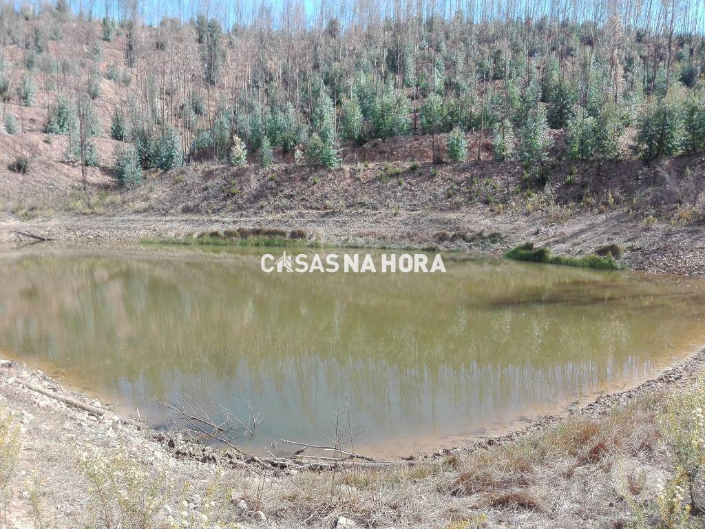 Terrenos Silves - Fotos para Terreno com 30 hectares com ruína em Silves Algarve