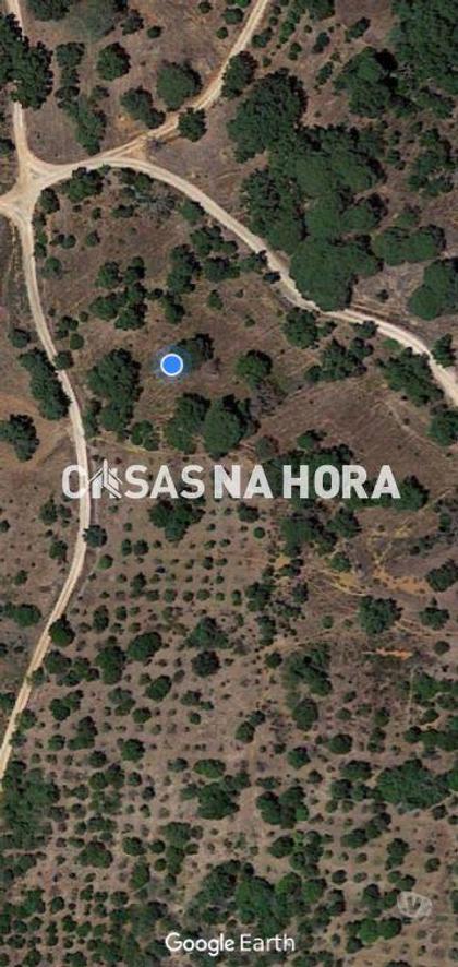 Terrenos - Fotos para Terreno com 30 hectares com ruína em Silves Algarve