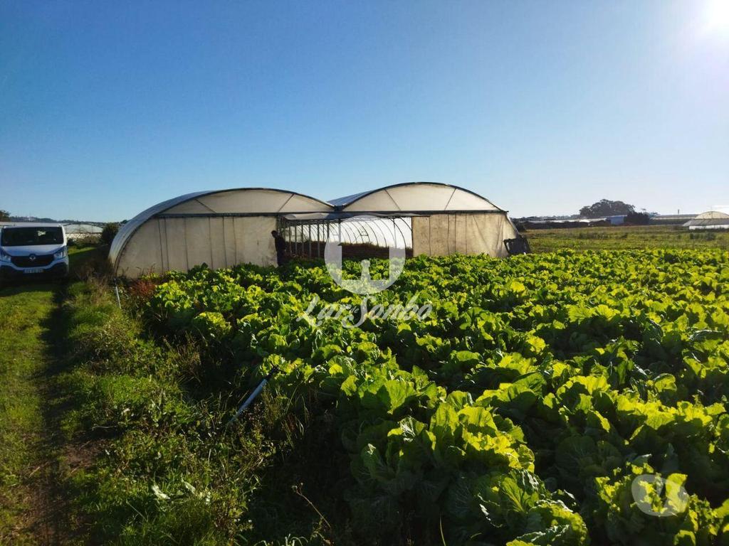 Terrenos Póvoa de Varzim - Fotos para Terreno agrícola em Navais, na Póvoa de Varzim (240-T-23024)
