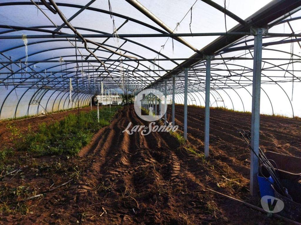 Terrenos Póvoa de Varzim - Fotos para Terreno agrícola em Navais, na Póvoa de Varzim (240-T-23024)