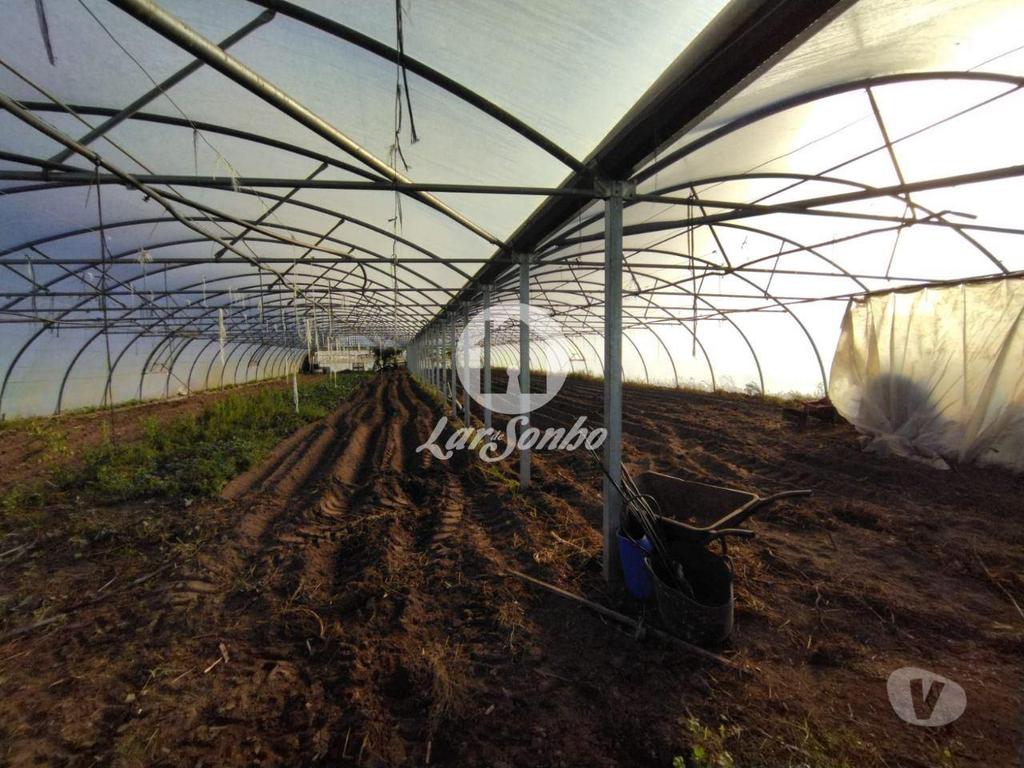 Terrenos Póvoa de Varzim - Fotos para Terreno agrícola em Navais, na Póvoa de Varzim (240-T-23024)