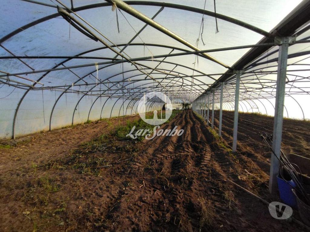 Terrenos Póvoa de Varzim - Fotos para Terreno agrícola em Navais, na Póvoa de Varzim (240-T-23024)