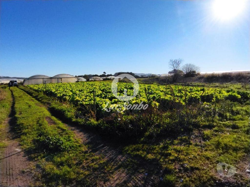 Terrenos Póvoa de Varzim - Fotos para Terreno agrícola em Navais, na Póvoa de Varzim (240-T-23024)