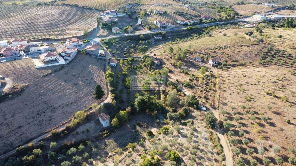 Terrenos Alfândega da Fé - Fotos para Alfandega-da-fe-Quintinha com Olival em Alfândega da Fé (Q 00431)