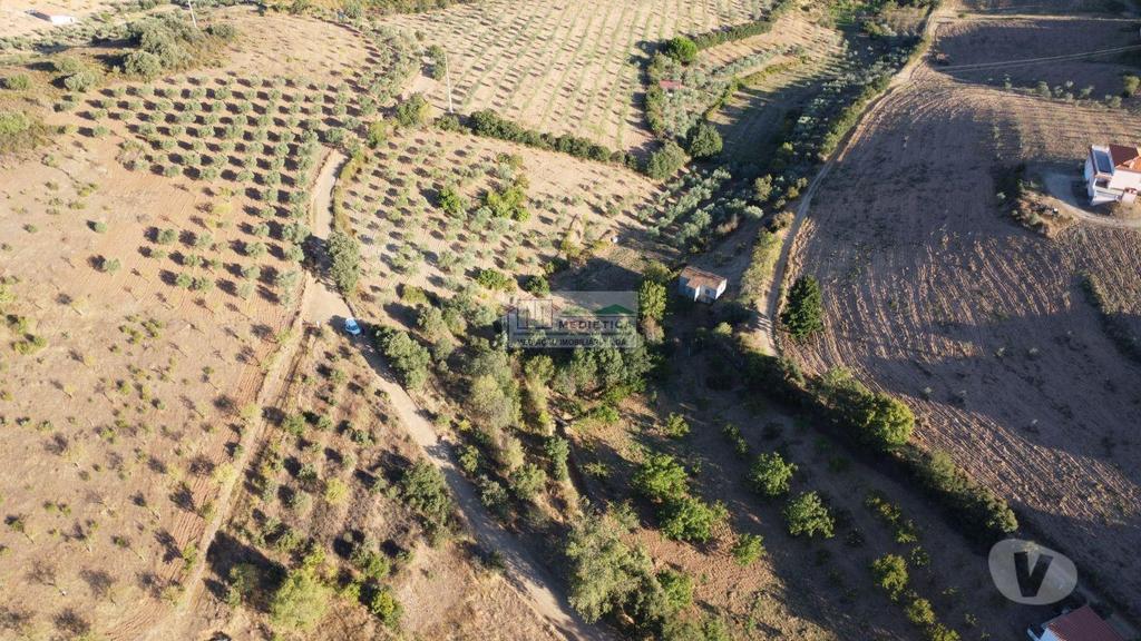 Terrenos Alfândega da Fé - Fotos para Alfandega-da-fe-Quintinha com Olival em Alfândega da Fé (Q 00431)