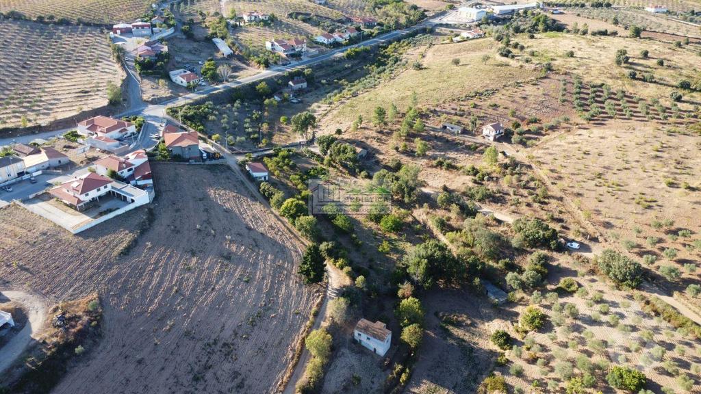 Terrenos Alfândega da Fé - Fotos para Alfandega-da-fe-Quintinha com Olival em Alfândega da Fé (Q 00431)