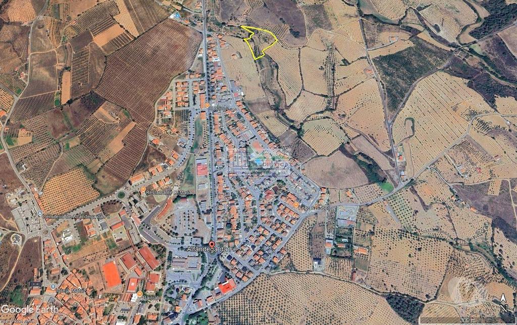 Terrenos Alfândega da Fé - Fotos para Alfandega-da-fe-Quintinha com Olival em Alfândega da Fé (Q 00431)