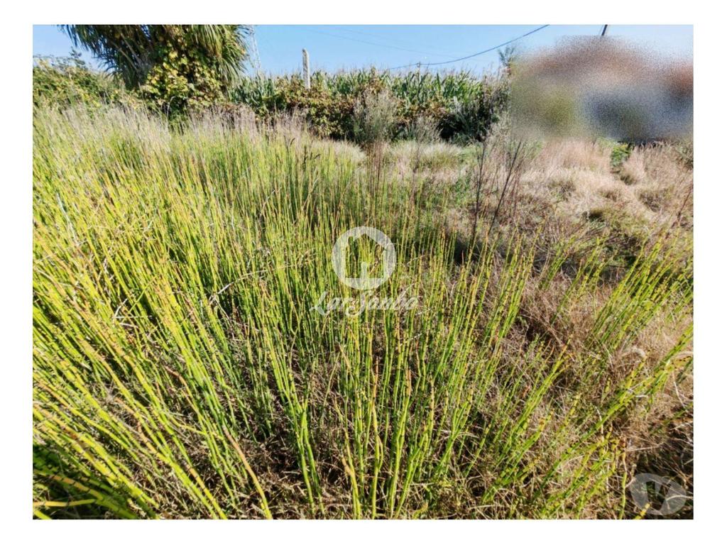 Terrenos Vila do Conde - Fotos para Terreno para construção com 475m2 perto da praia de Labruge-