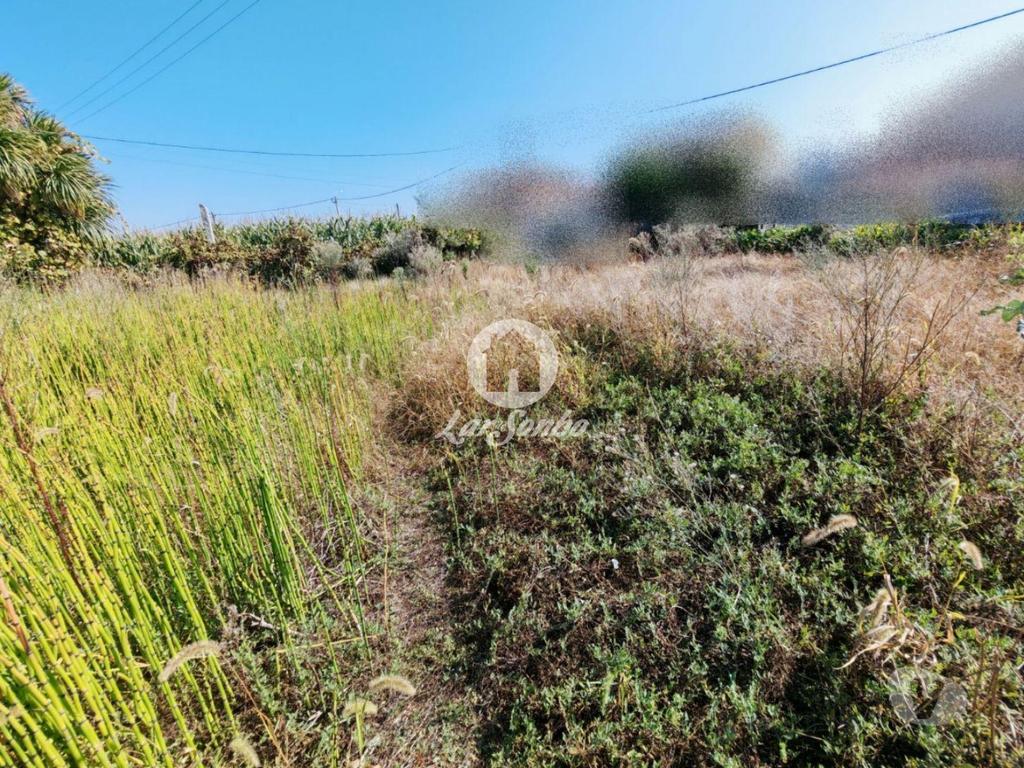 Terrenos Vila do Conde - Fotos para Terreno para construção com 475m2 perto da praia de Labruge-