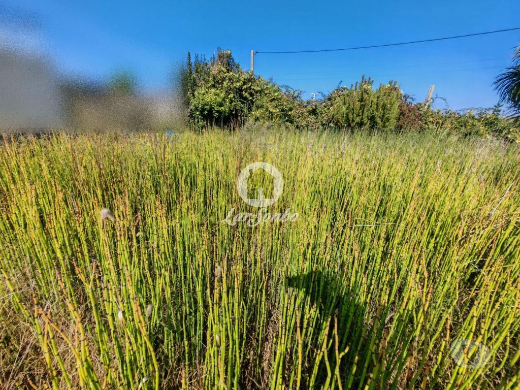 Terrenos Vila do Conde - Fotos para Terreno para construção com 475m2 perto da praia de Labruge-