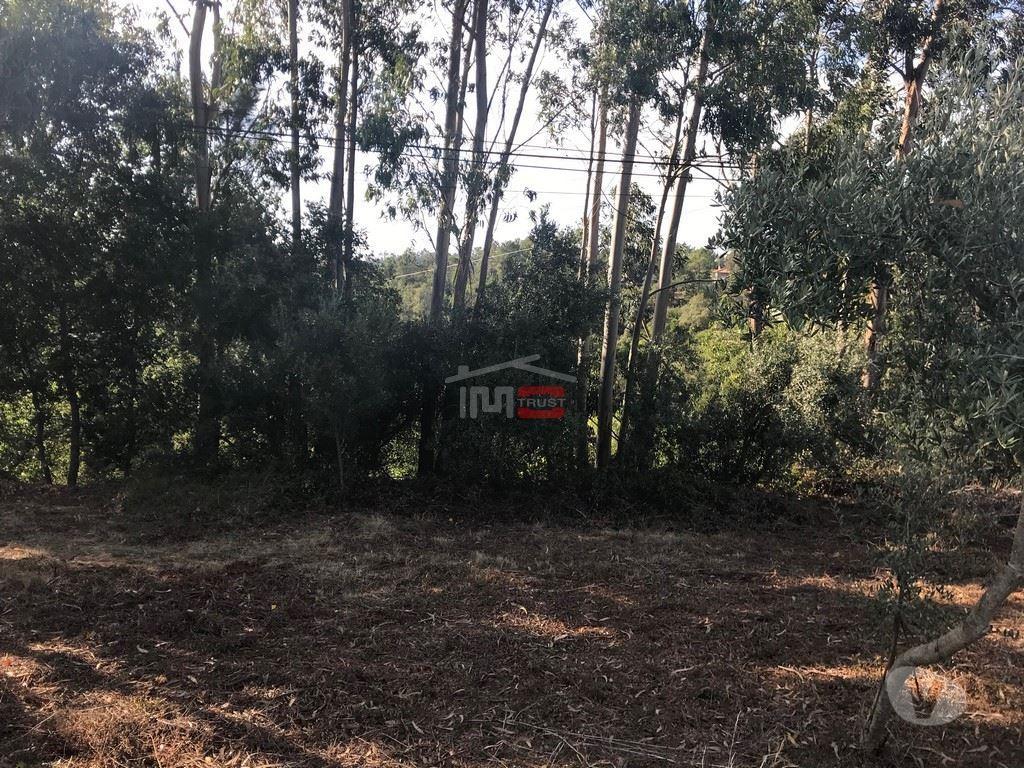 Terrenos Ourém - Fotos para Ourem-Terreno para construção, bem localizado! (1-T-1719155)