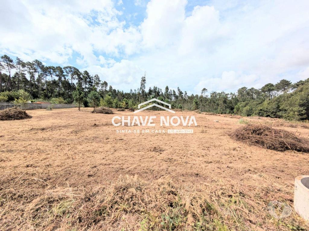 Terrenos Santa Maria da Feira - Fotos para Terreno misto com 11.500m2 para venda em Pigeiros, Santa Maria