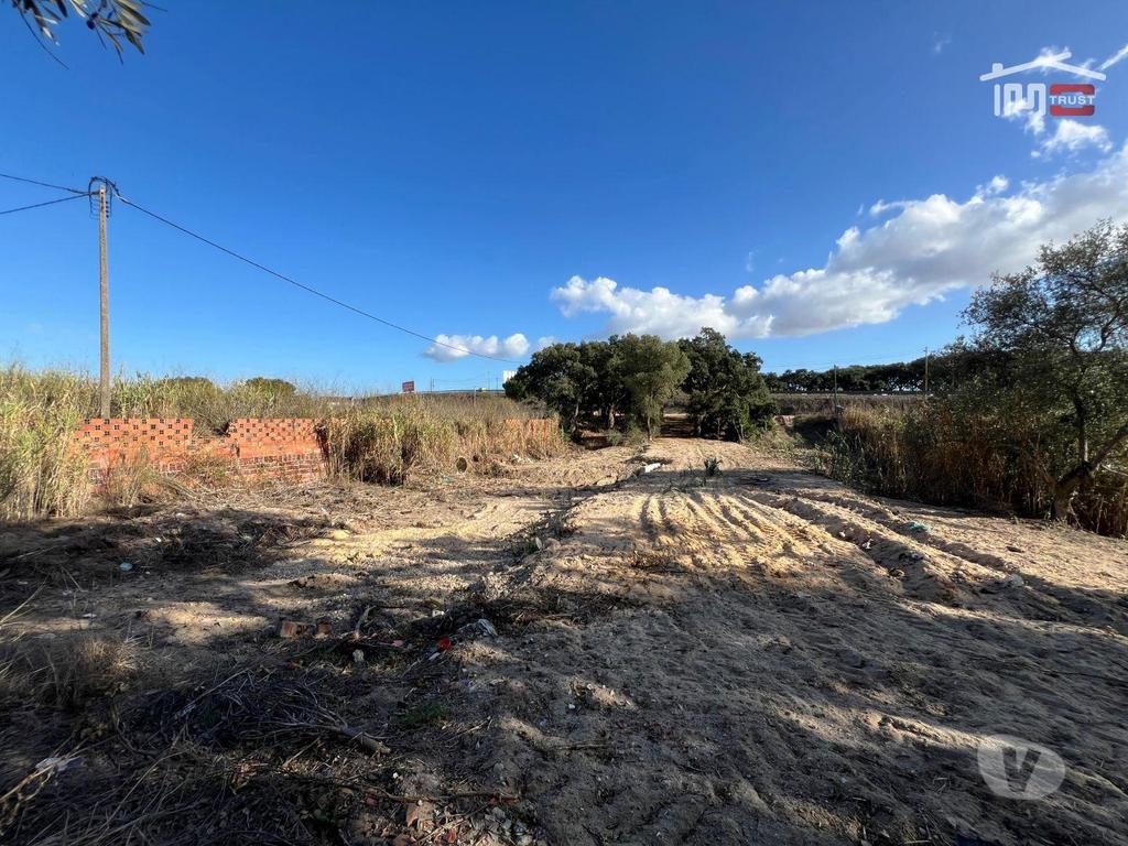 Terrenos Montijo - Fotos para Terreno Rústico com 1,5 Hectares Perto do Mini Preço e Bombas da
