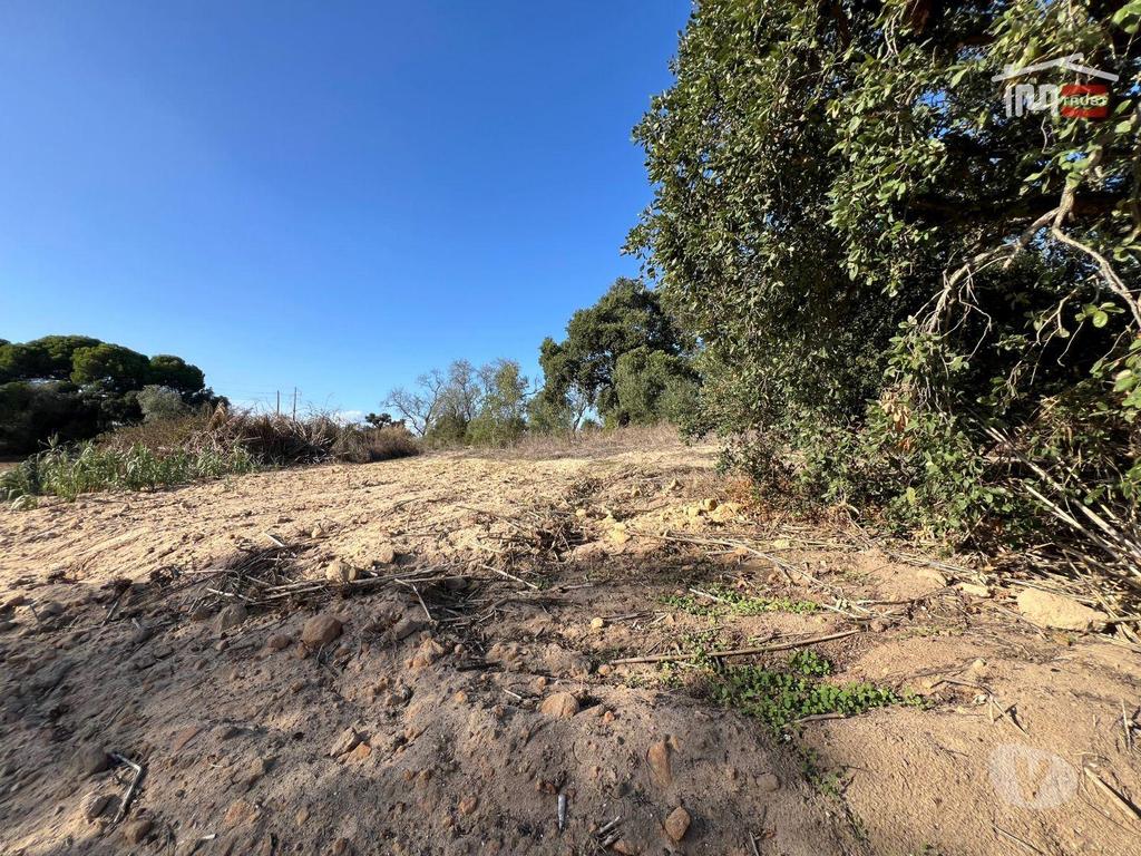 Terrenos Montijo - Fotos para Terreno Rústico com 1,5 Hectares Perto do Mini Preço e Bombas da