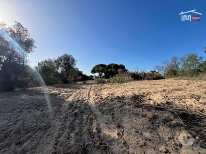 Terrenos - Fotos para Terreno Rústico com 1,5 Hectares Perto do Mini Preço e Bombas da