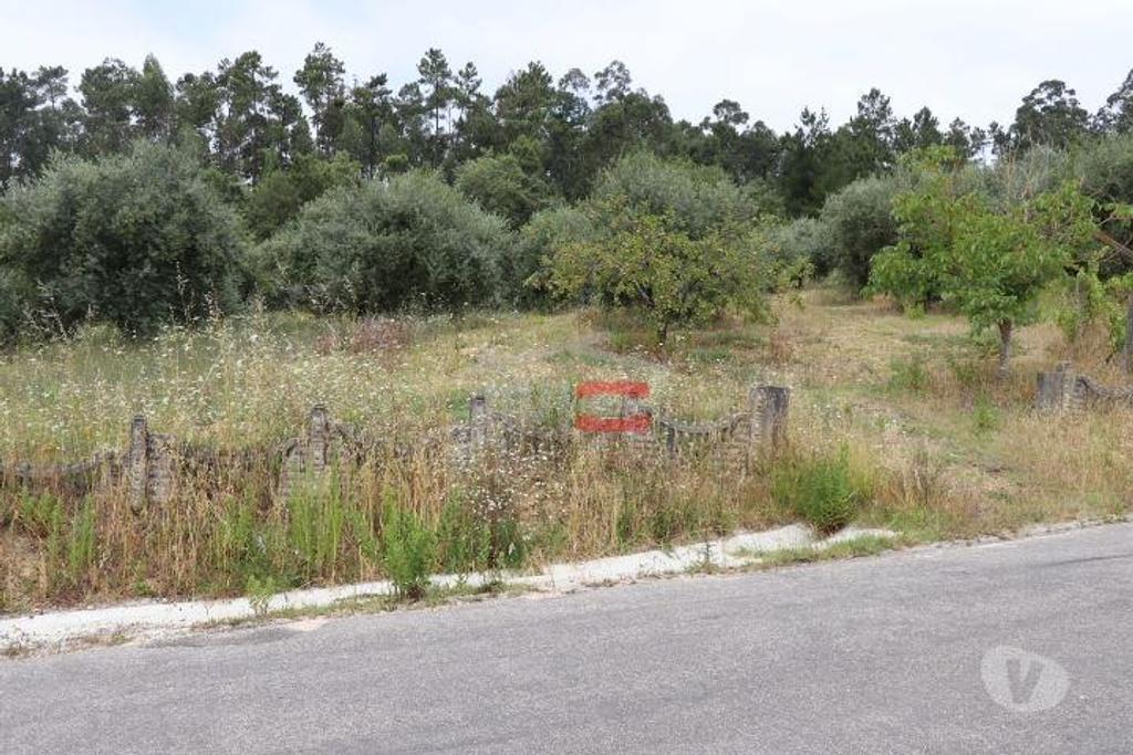 Terrenos Ourém - Fotos para Ourem-Terreno com oliveiras (1-T-110019037)