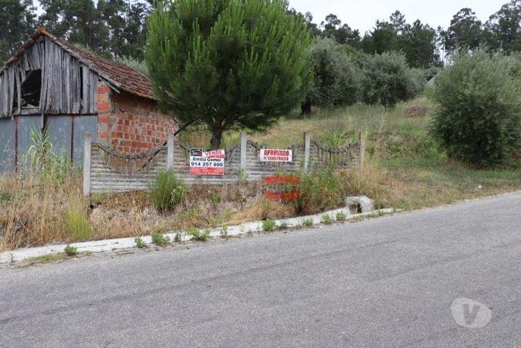 Terrenos Ourém - Fotos para Ourem-Terreno com oliveiras (1-T-110019037)
