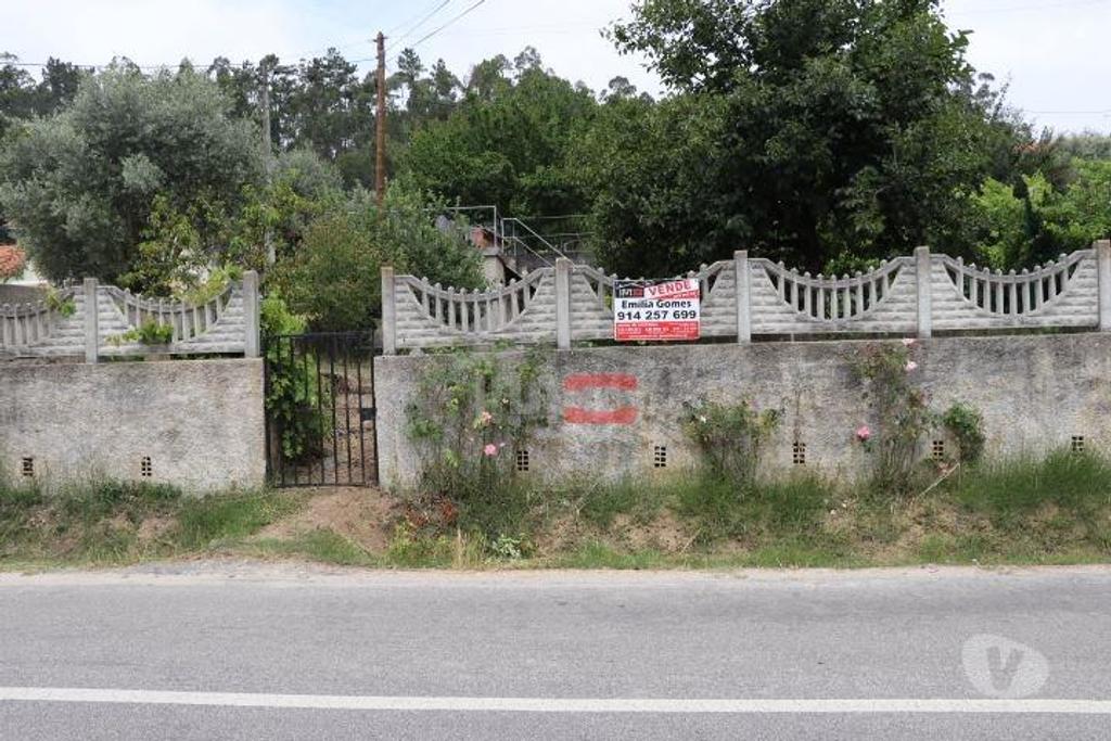 Terrenos Ourém - Fotos para Ourem-Terreno com oliveiras (1-T-110019037)