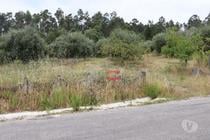 Ourem-Terreno com oliveiras (1-T-110019037)