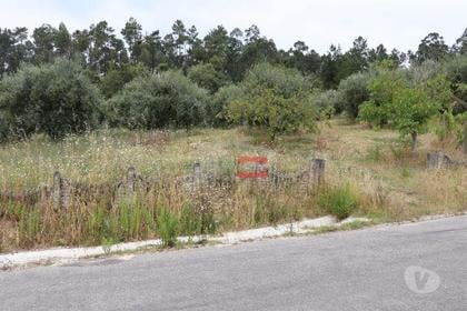 Terrenos - Fotos para Ourem-Terreno com oliveiras (1-T-110019037)