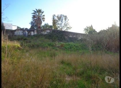 Terrenos - Fotos para Alcanena-Terreno para construção (1-T-15718015)