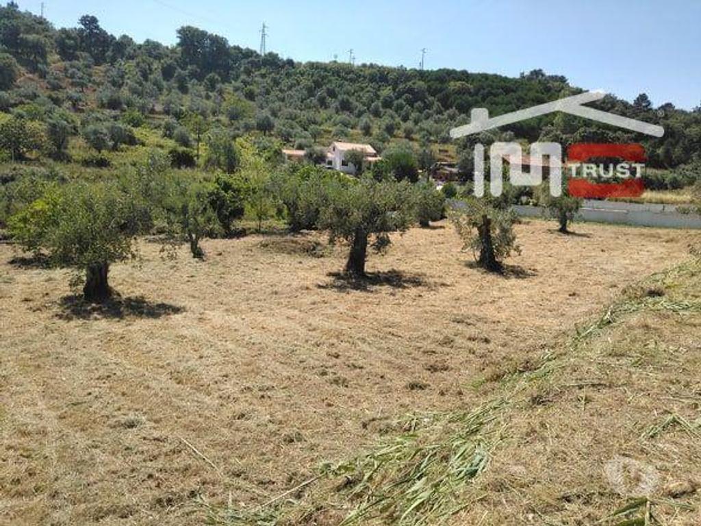 Terrenos Ourém - Fotos para Ourem-Terreno para construção (1-T-15719059)